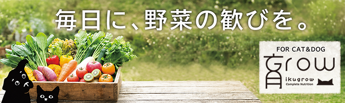 野菜の歓び