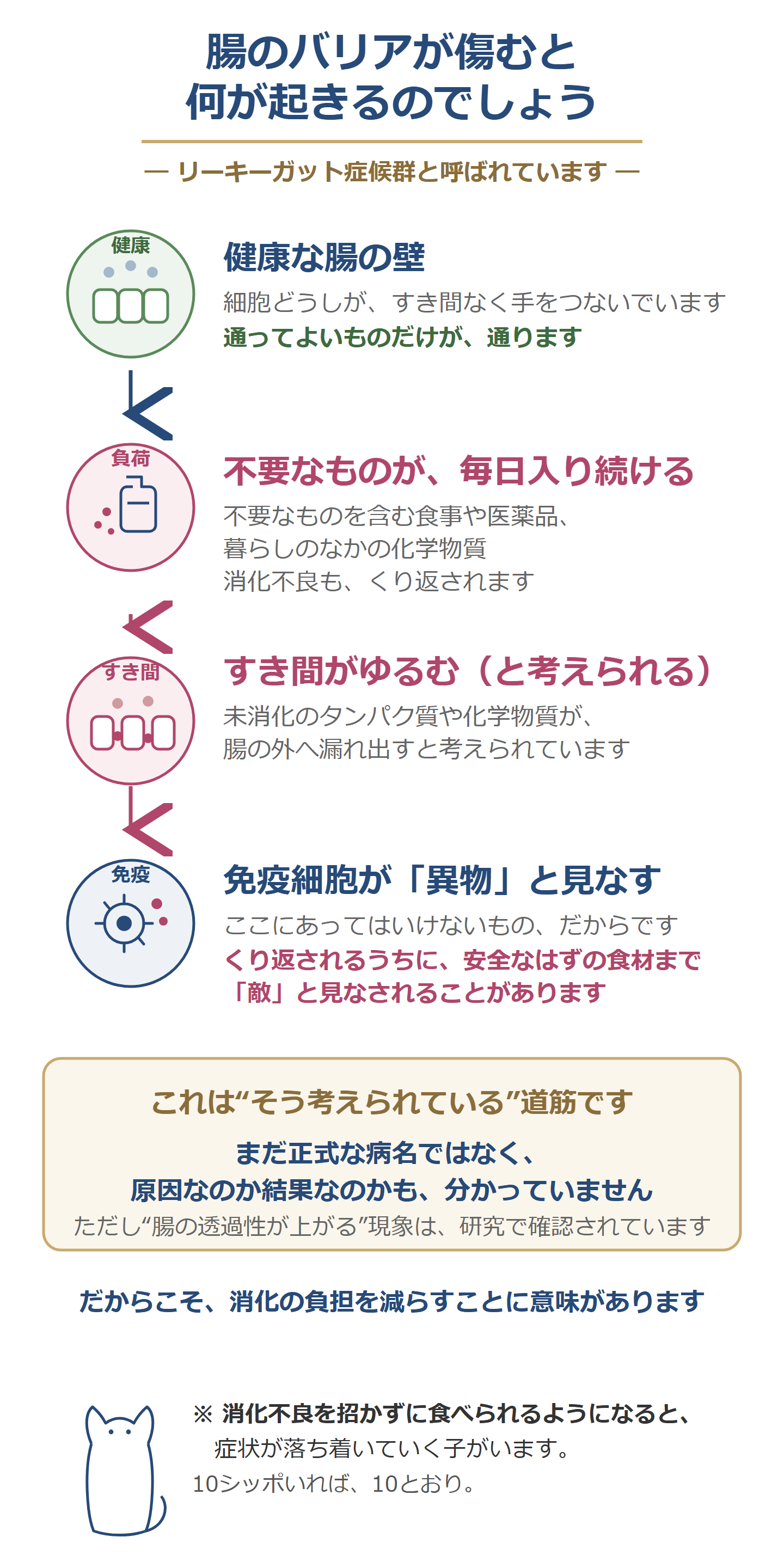 腸のバリアが傷むと、すき間から未消化のタンパク質や化学物質が漏れ出し、免疫が異物と見なす。くり返されると安全なはずの食材まで敵と見なされることがある。