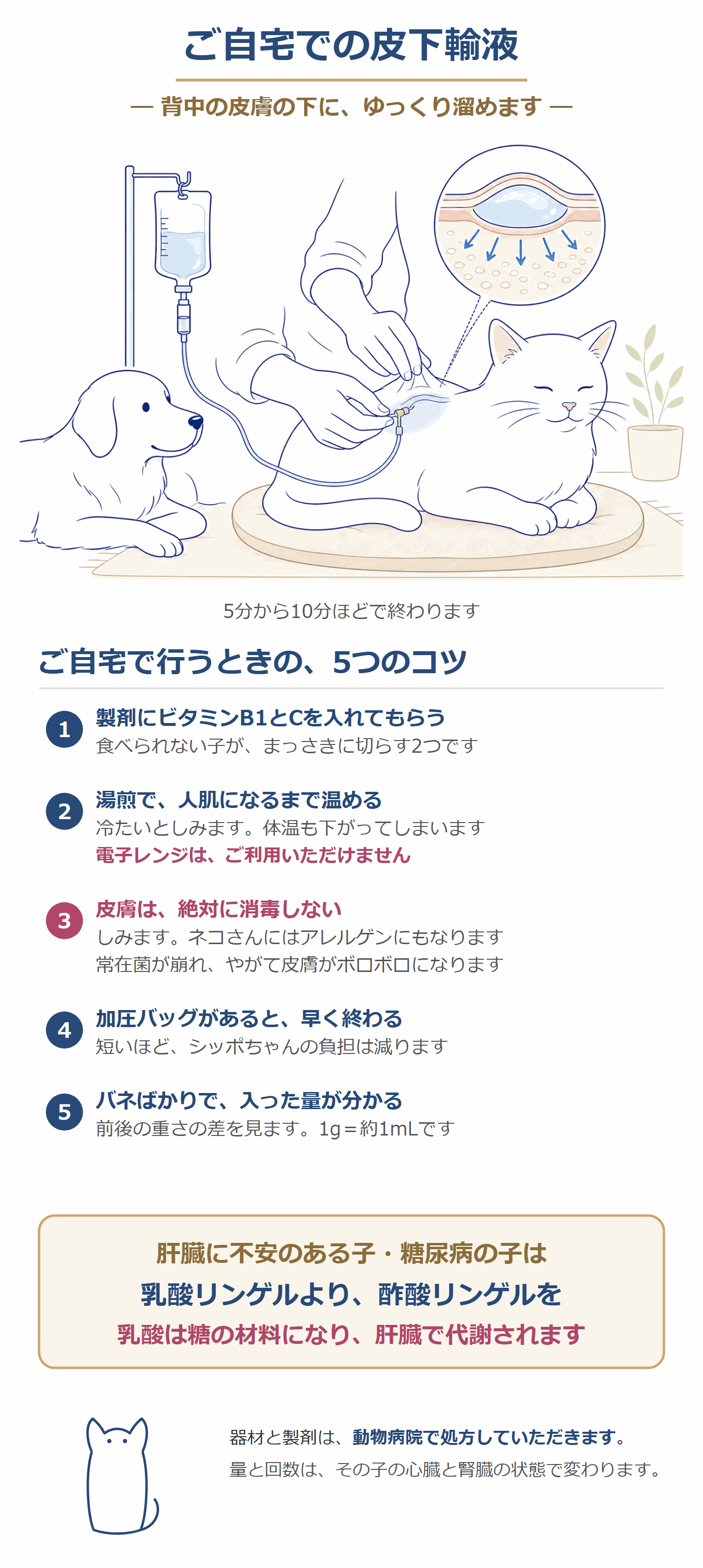ご自宅での皮下輸液。背中の皮膚の下にゆっくり溜める。B1とC・湯煎・消毒しない・バネばかり