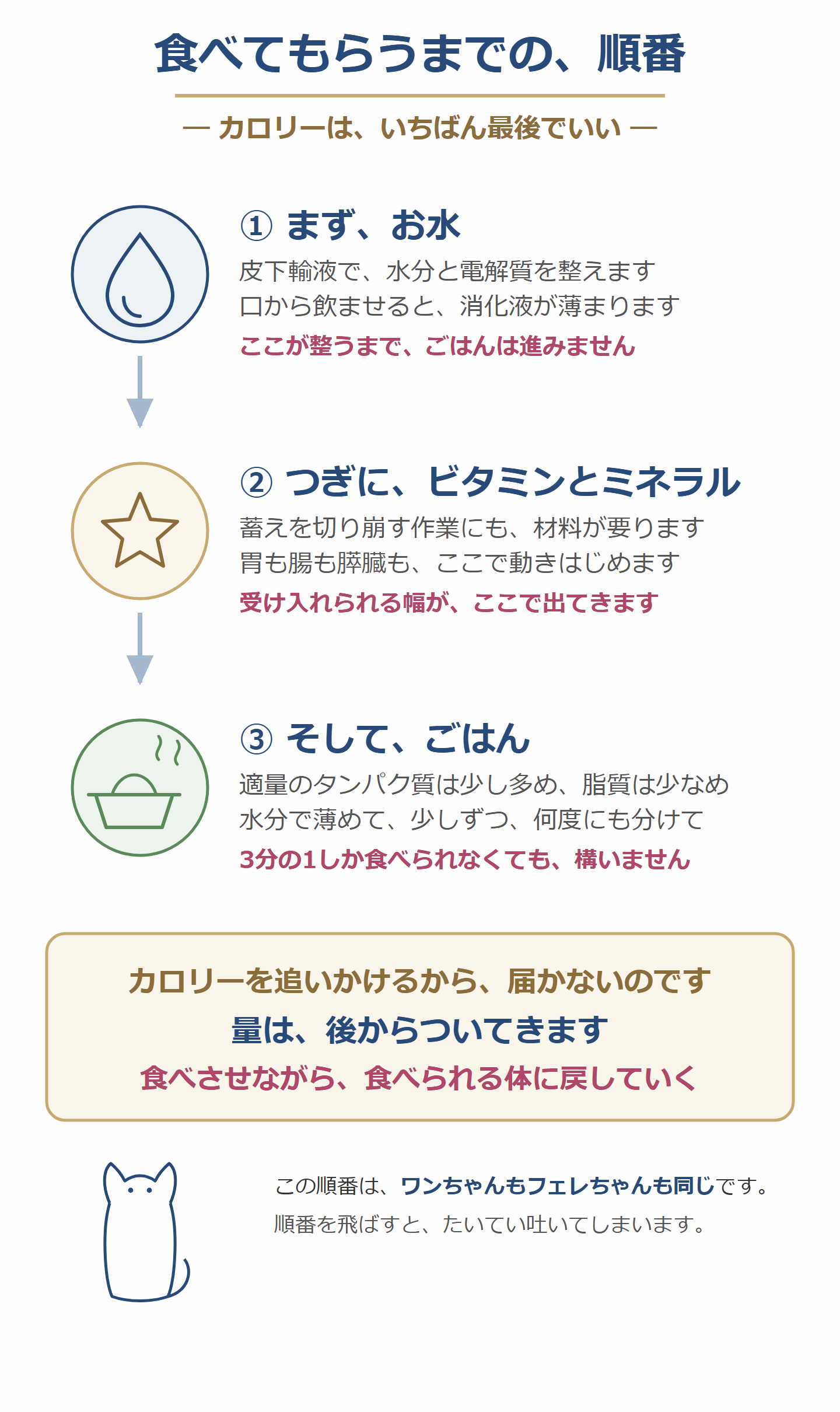 食べてもらうまでの順番。まずお水、つぎにビタミンとミネラル、そしてごはん