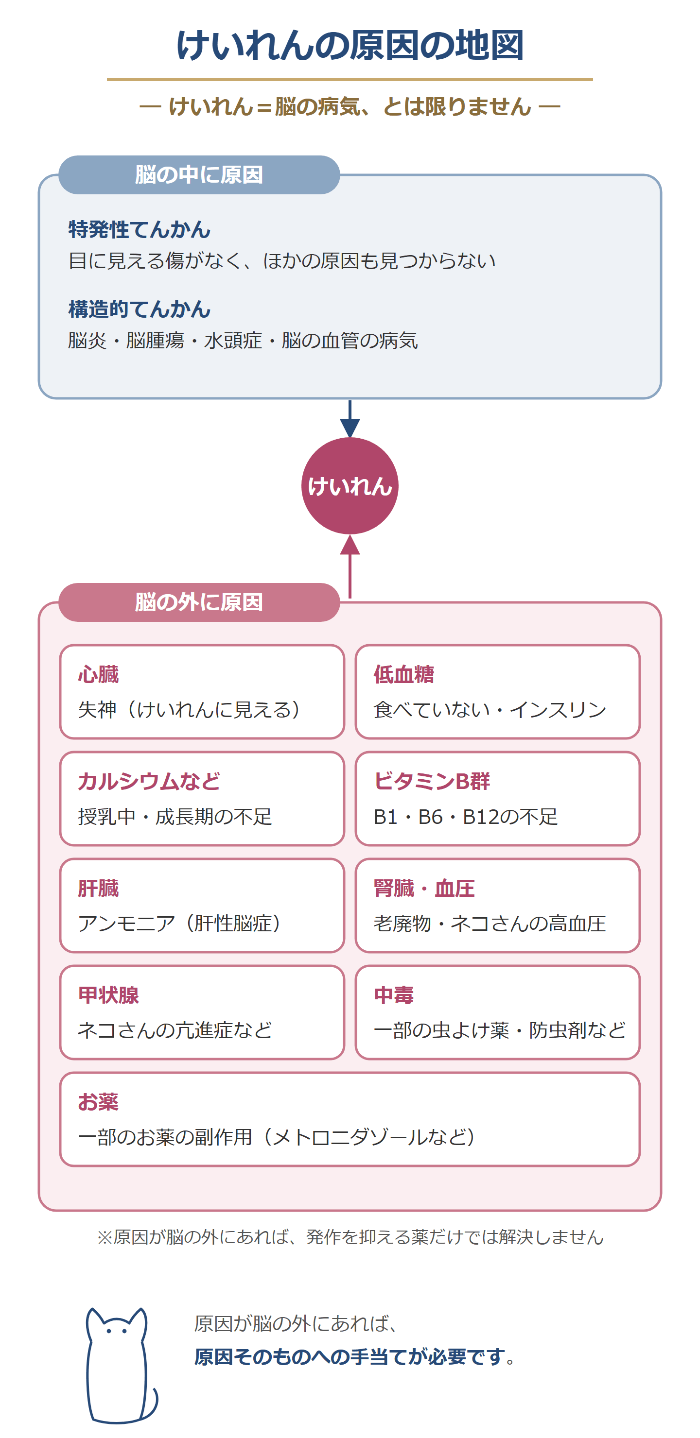 けいれんの原因の地図。脳の中に原因があるもの(特発性てんかん・構造的てんかん)と、脳の外に原因があるもの(心臓・低血糖・カルシウム・ビタミンB群・肝臓・腎臓と血圧・甲状腺・中毒・お薬)