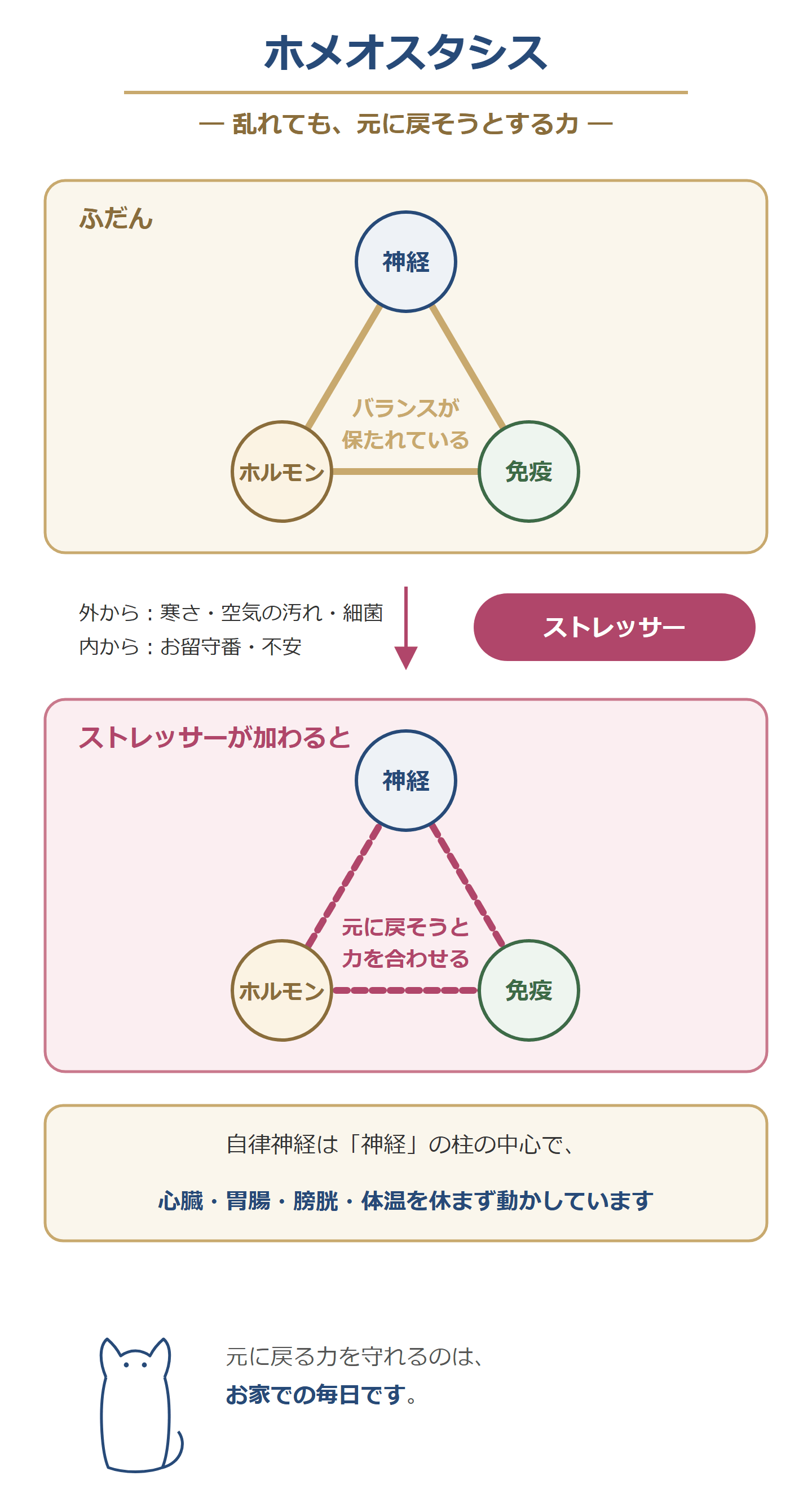 ホメオスタシス。神経・ホルモン・免疫の3本の柱が、ふだんはバランスを保ち、ストレッサーが加わると元に戻そうと力を合わせる