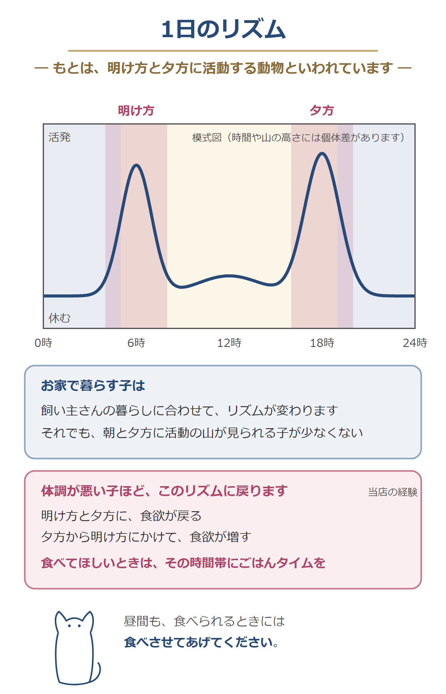 1日のリズム。もとは明け方と夕方に活動する動物といわれ、朝と夕方に活動の山がある模式図。体調が悪い子ほどこのリズムに戻るので、食べてほしいときはその時間帯にごはんタイムを