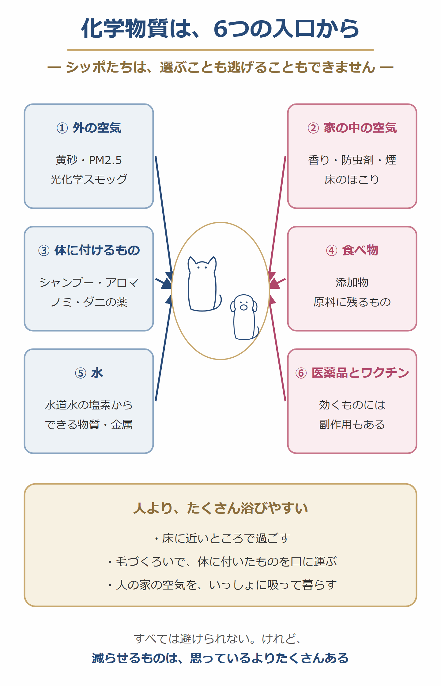 化学物質は6つの入口から。外の空気、家の中の空気とほこり、体に付けるもの、食べ物、水、医薬品とワクチン。シッポたちは床に近く、毛づくろいで体に付いたものを口に運ぶので、人よりたくさん浴びやすい
