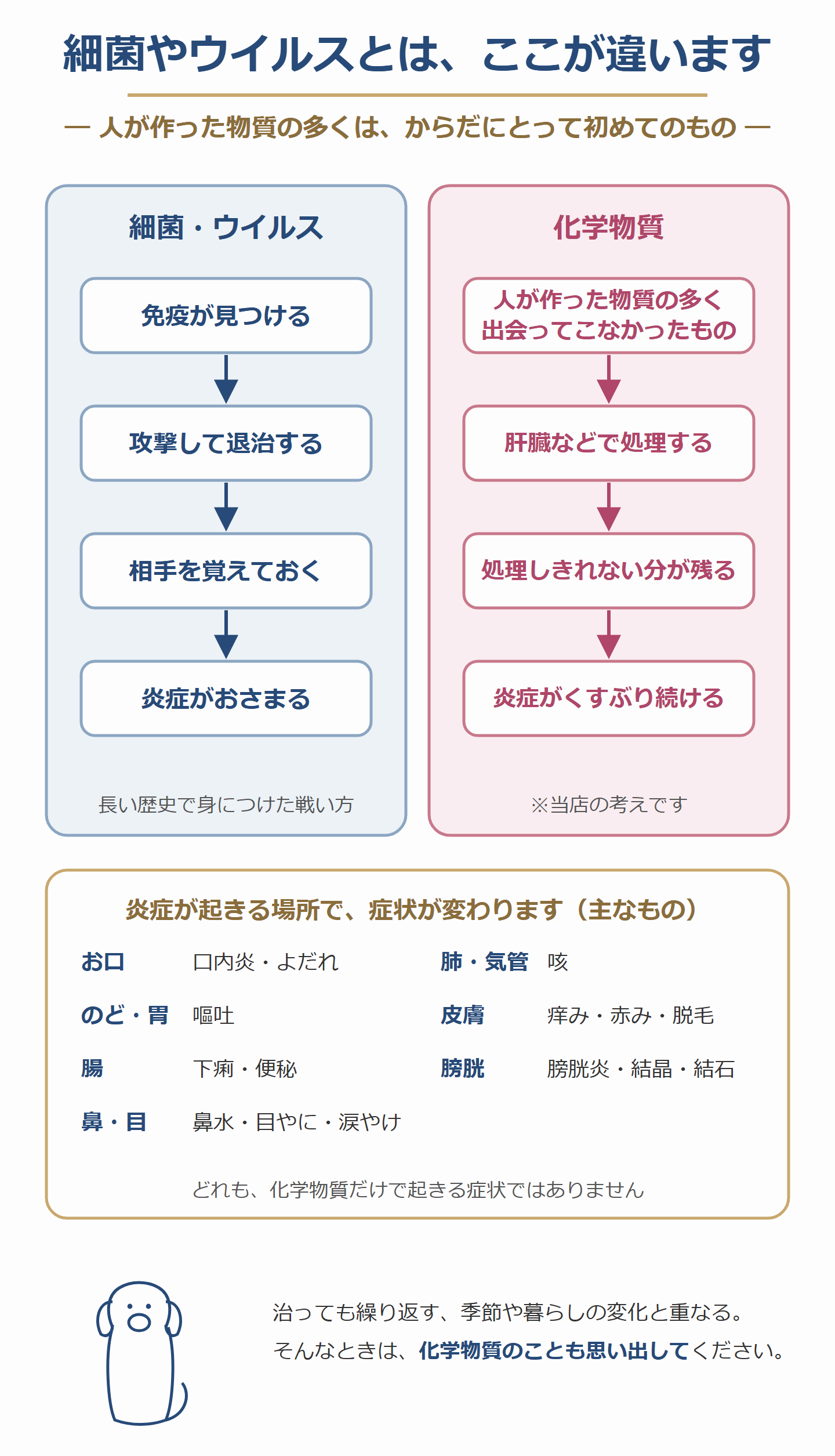 細菌やウイルスとの違い。細菌やウイルスは免疫が覚えて退治する。人が作った化学物質の多くは肝臓などで処理し、処理しきれない分が炎症をくすぶらせる(当店の考え)。炎症が起きる場所と主な症状