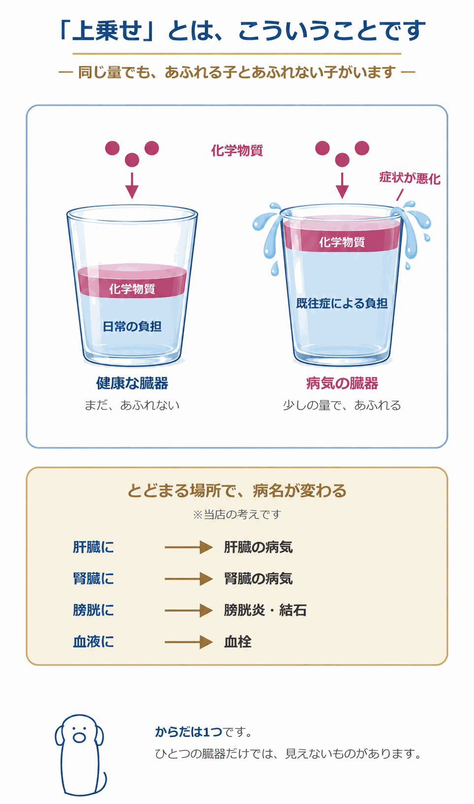 上乗せとは。健康な臓器は日常の負担に化学物質が加わってもあふれないが、既往症による負担を抱えた病気の臓器は少しの量であふれ、症状が悪化する。とどまる場所で病名が変わる(当店の考え)