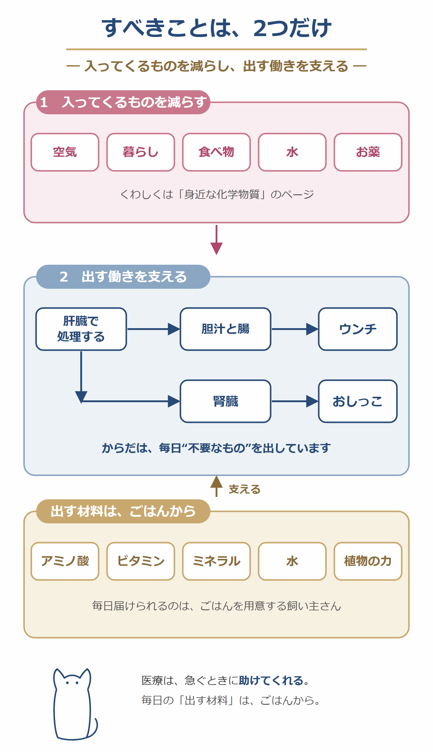 すべきことは2つだけ。1、入ってくるものを減らす(空気・暮らし・食べ物・水・お薬)。2、出す働きを支える(肝臓で処理し、胆汁と腸からウンチへ、腎臓からおしっこへ)。出す材料(アミノ酸・ビタミン・ミネラル・水・植物の力)は、ごはんから