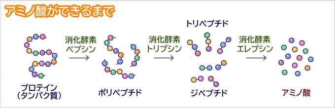 NinnaNannaDelica/ビタミン・ミネラル+アミノ