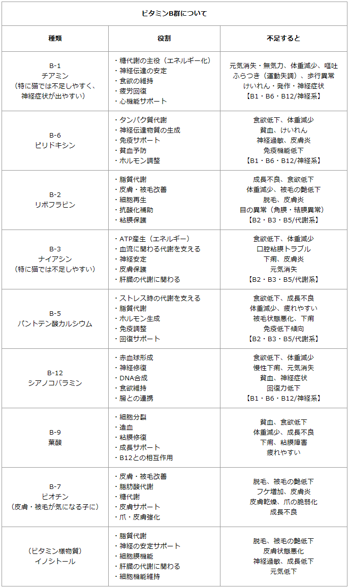 デリカ/ビタミンBコンプレックス  説明