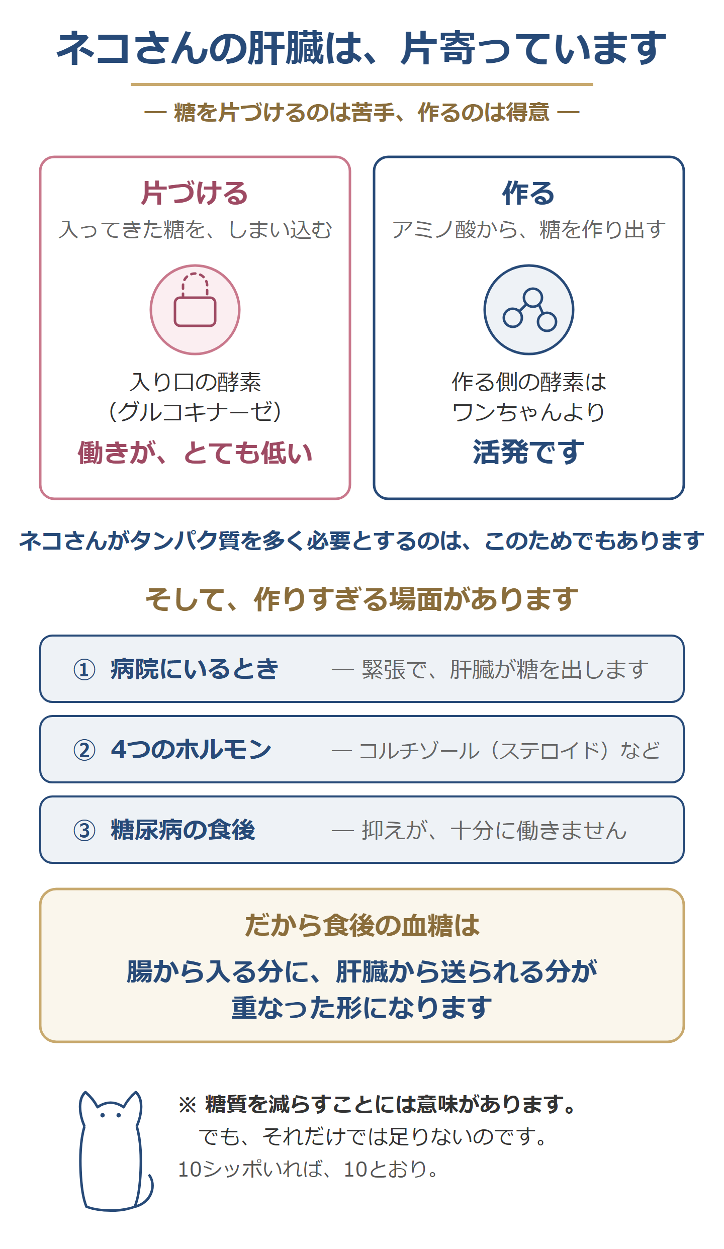 ネコさんの肝臓(片づけるのは苦手、作るのは得意)