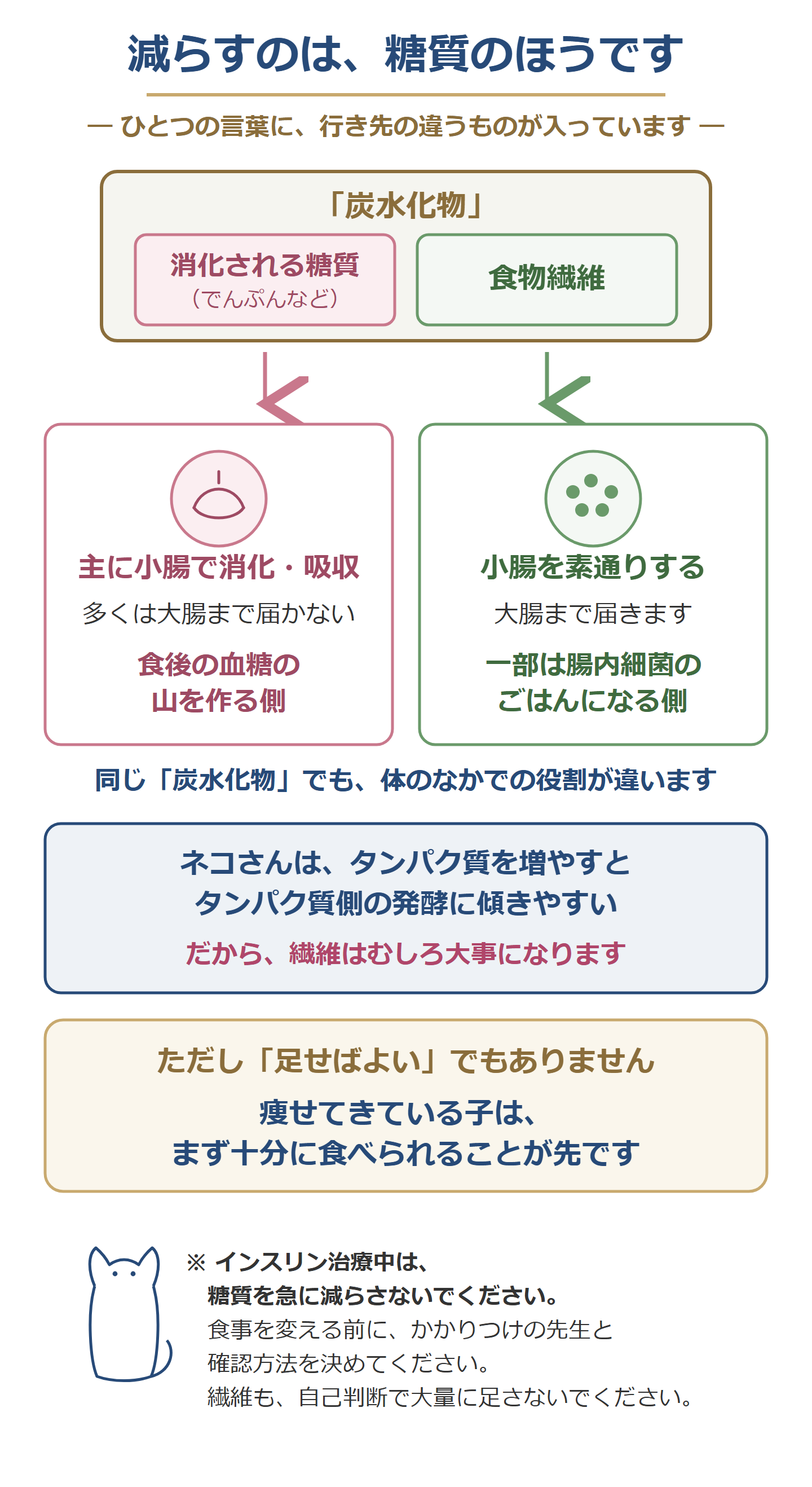 減らすのは糖質のほう(消化される糖質と食物繊維)