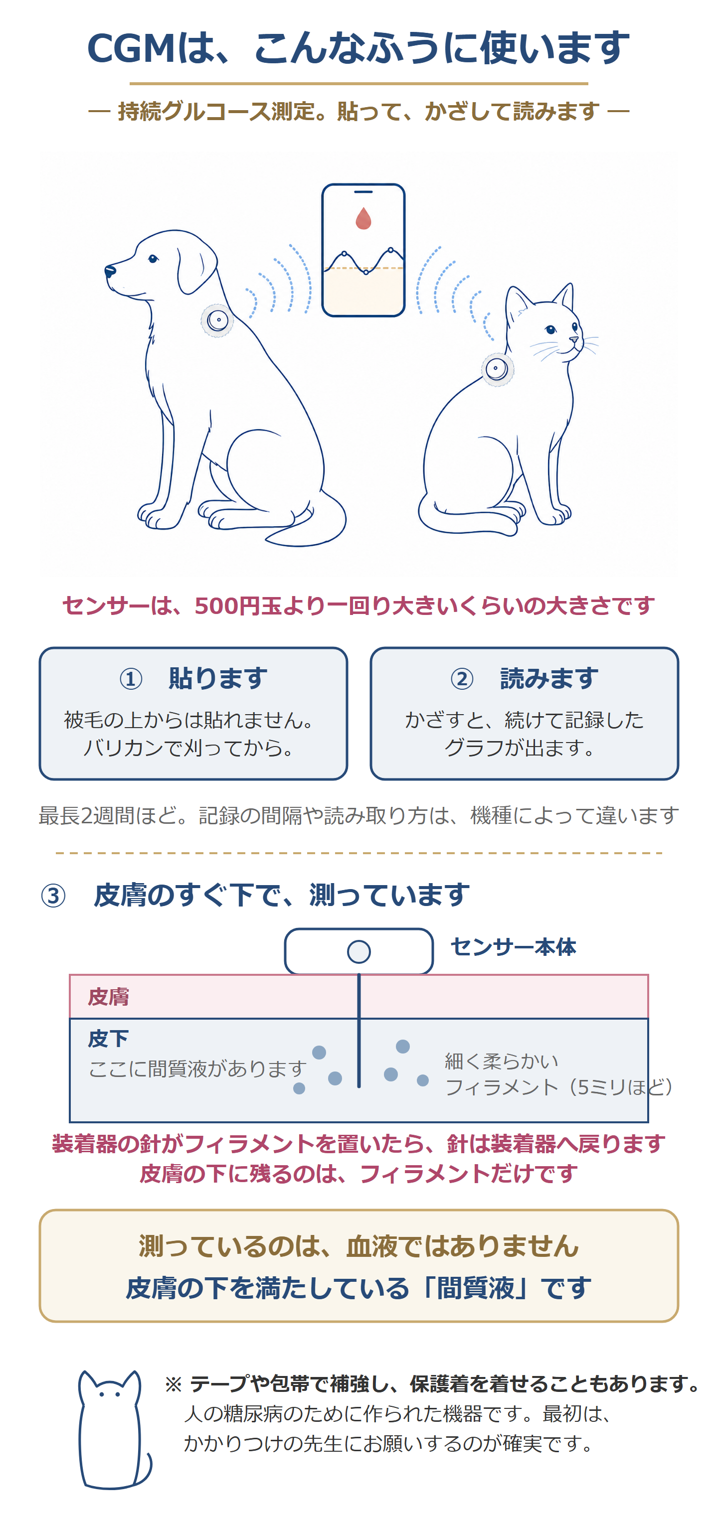 CGMの使いかた(貼る・読む・皮下で測る)