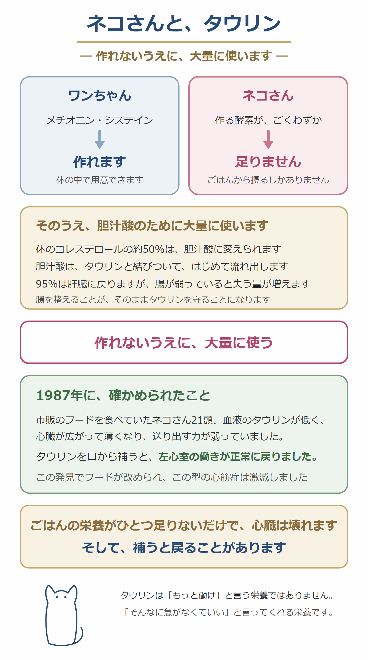 猫は必要な量のタウリンを自分で作れない。作る力が弱く、胆汁酸で失う