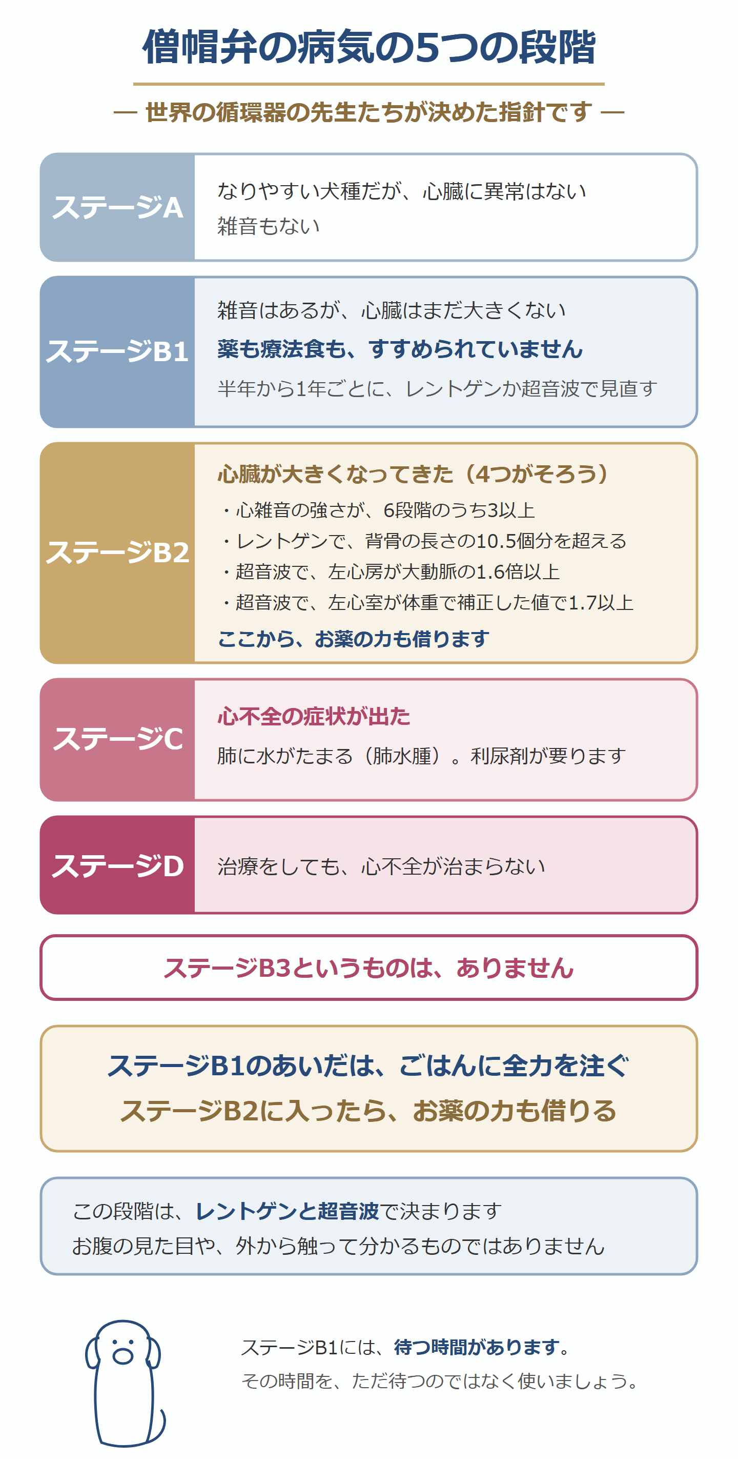 犬の僧帽弁の病気の5つの段階。ステージA・B1・B2・C・D
