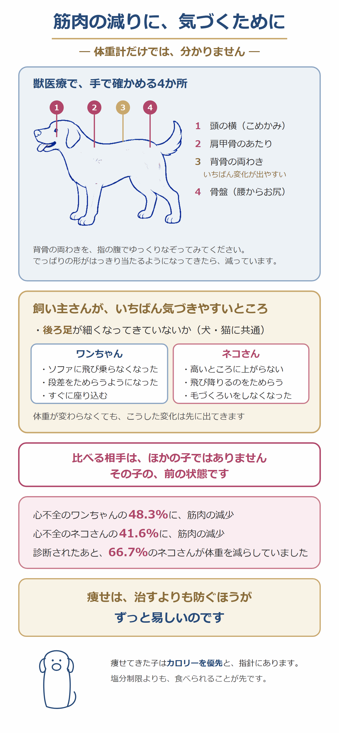 筋肉の減りに気づくために。手で確かめる4か所と、後ろ足や動き方