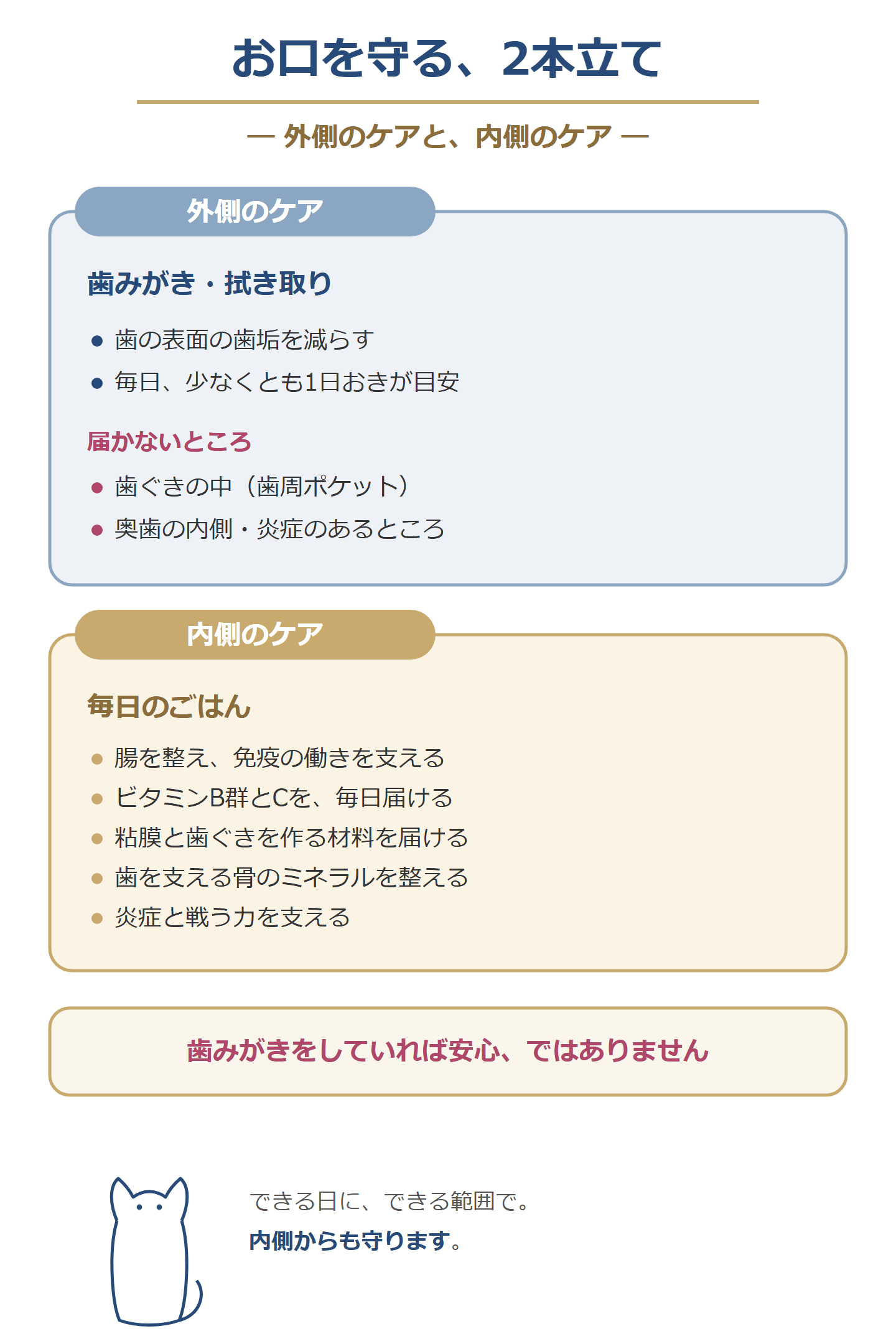 お口を守る2本立て。外側のケアは歯みがき・拭き取りで歯の表面の歯垢を減らすが、歯ぐきの中や奥歯の内側には届かない。内側のケアは毎日のごはんで、腸を整え、ビタミンB群とCを毎日届け、粘膜と歯ぐきの材料と骨のミネラルを整え、炎症と戦う力を支える