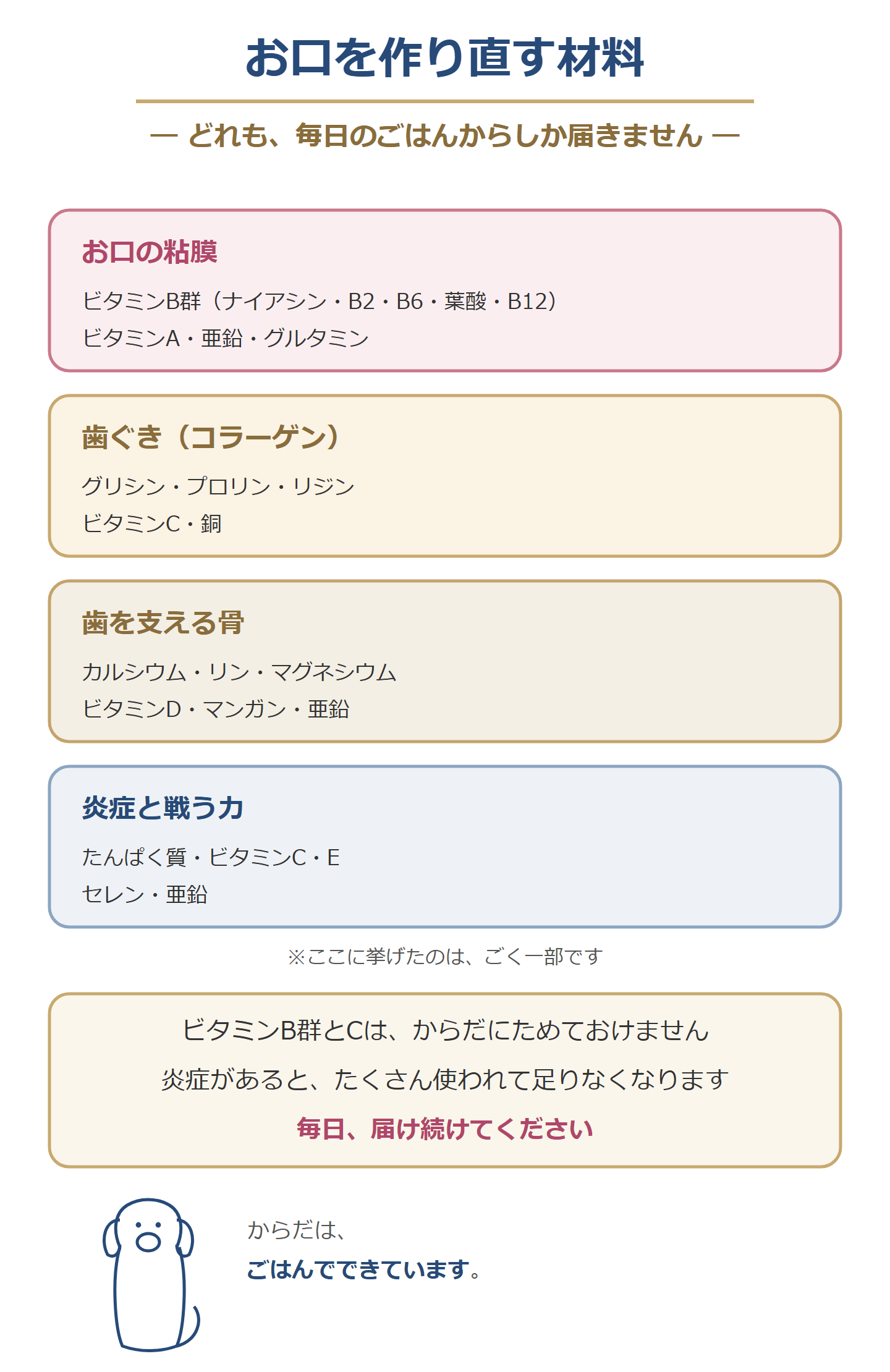 お口を作り直す材料。お口の粘膜はビタミンB群・ビタミンA・亜鉛・グルタミン、歯ぐきはグリシン・プロリン・リジン・ビタミンC・銅、歯を支える骨はカルシウム・リン・マグネシウム・ビタミンD、炎症と戦う力はたんぱく質・ビタミンC・E・セレン・亜鉛。ビタミンB群とCはからだにためておけず、炎症があるとたくさん使われるので、毎日届け続ける