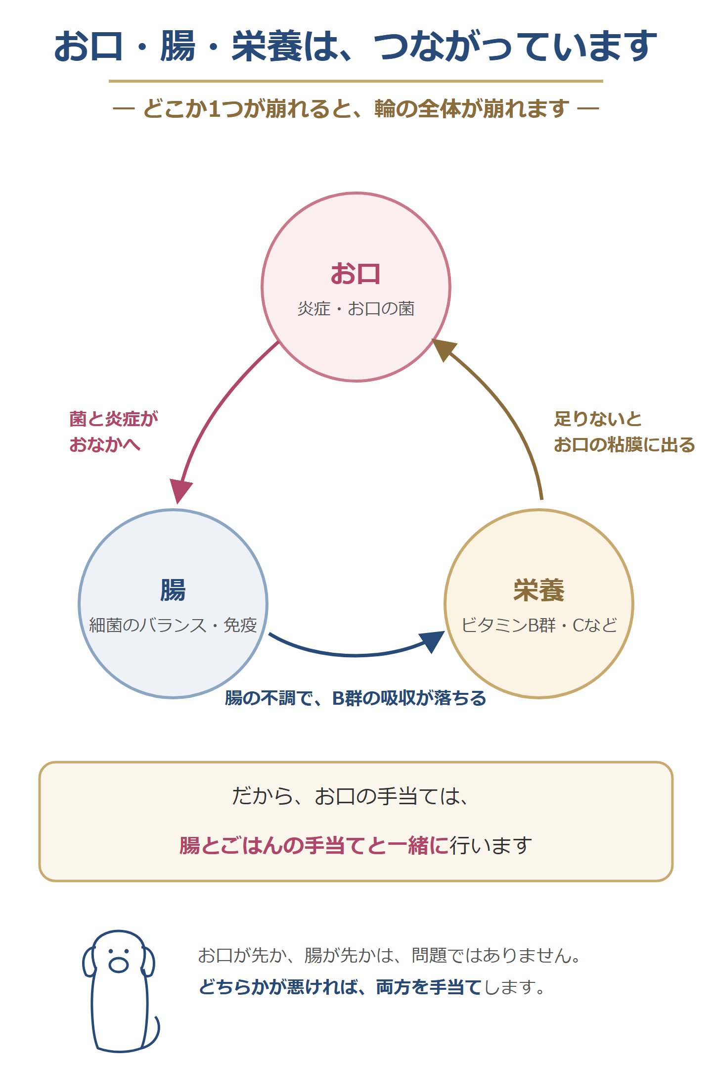 お口・腸・栄養はつながっている。お口の菌と炎症はおなかへ、腸の不調でビタミンB群の吸収が落ち、栄養が足りないとお口の粘膜に出る。だから、お口の手当ては腸とごはんの手当てと一緒に行う