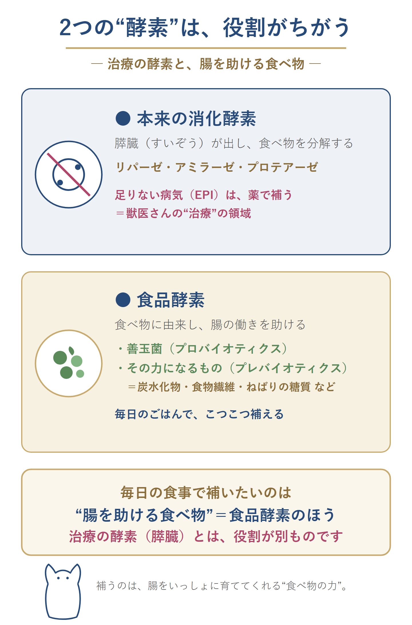 2つの酵素の違いの図。本来の消化酵素は膵臓が出し食べ物を分解する酵素（リパーゼ・アミラーゼ・プロテアーゼ）で、足りない病気EPIは薬で補う獣医さんの治療の領域。食品酵素は食べ物に由来し腸の働きを助けるもの（善玉菌＝プロバイオティクス、その力になるもの＝プレバイオティクス＝炭水化物・食物繊維・ねばりの糖質など）で、毎日のごはんで補える。役割が別もの。