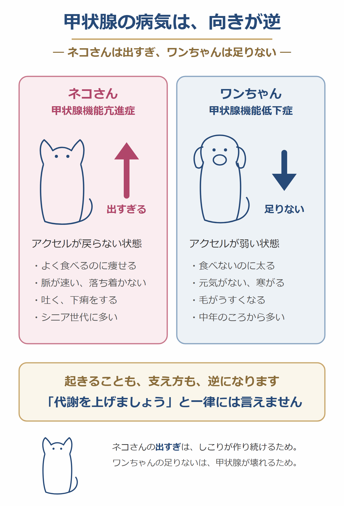 甲状腺の病気は、猫と犬で向きが逆。猫は出すぎ、犬は足りない