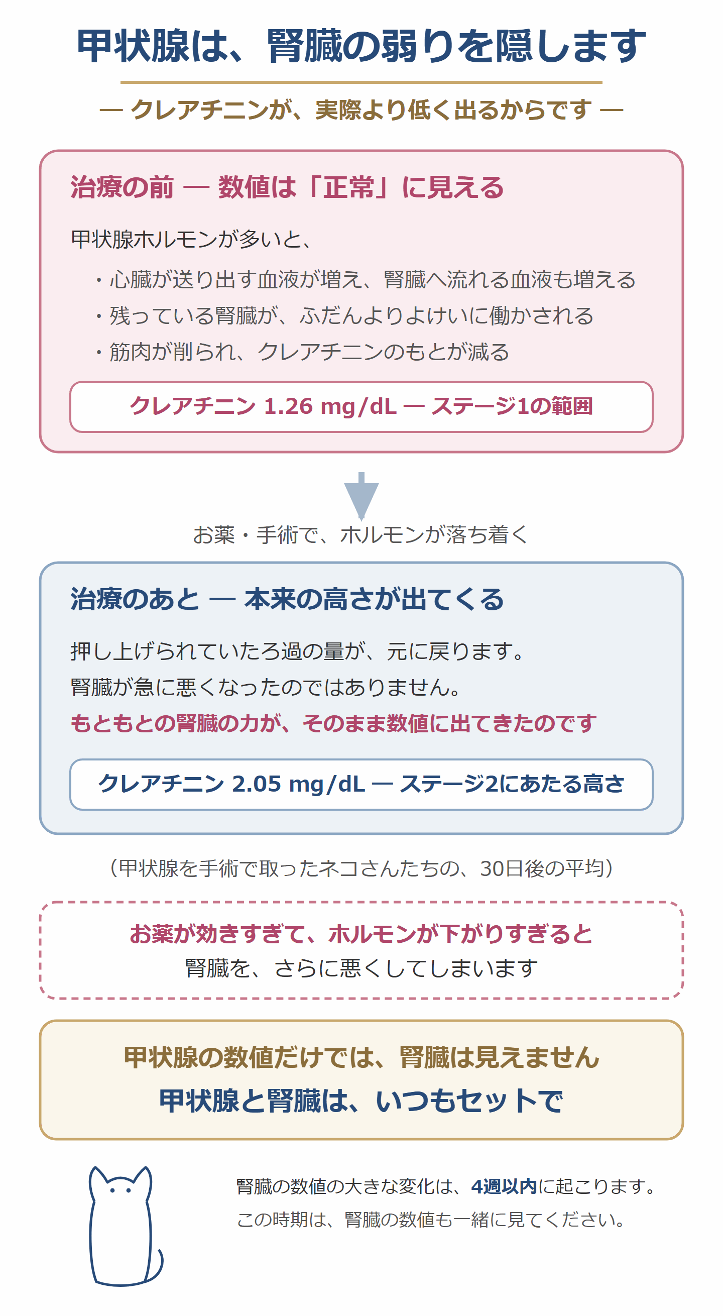 甲状腺ホルモンが腎臓の弱りを隠すしくみ。治療すると隠れていた弱りが見えてくる