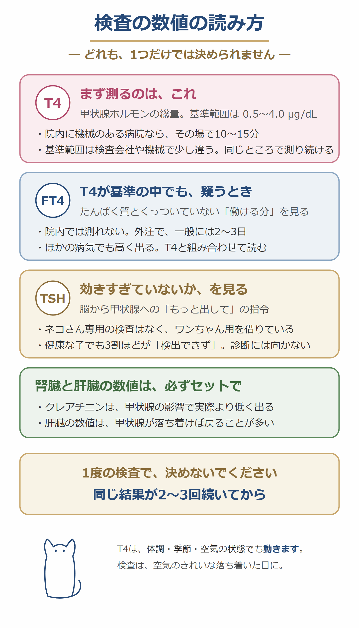 甲状腺の検査の数値の読み方。T4・FT4・TSHと腎臓・肝臓の数値をセットで見る