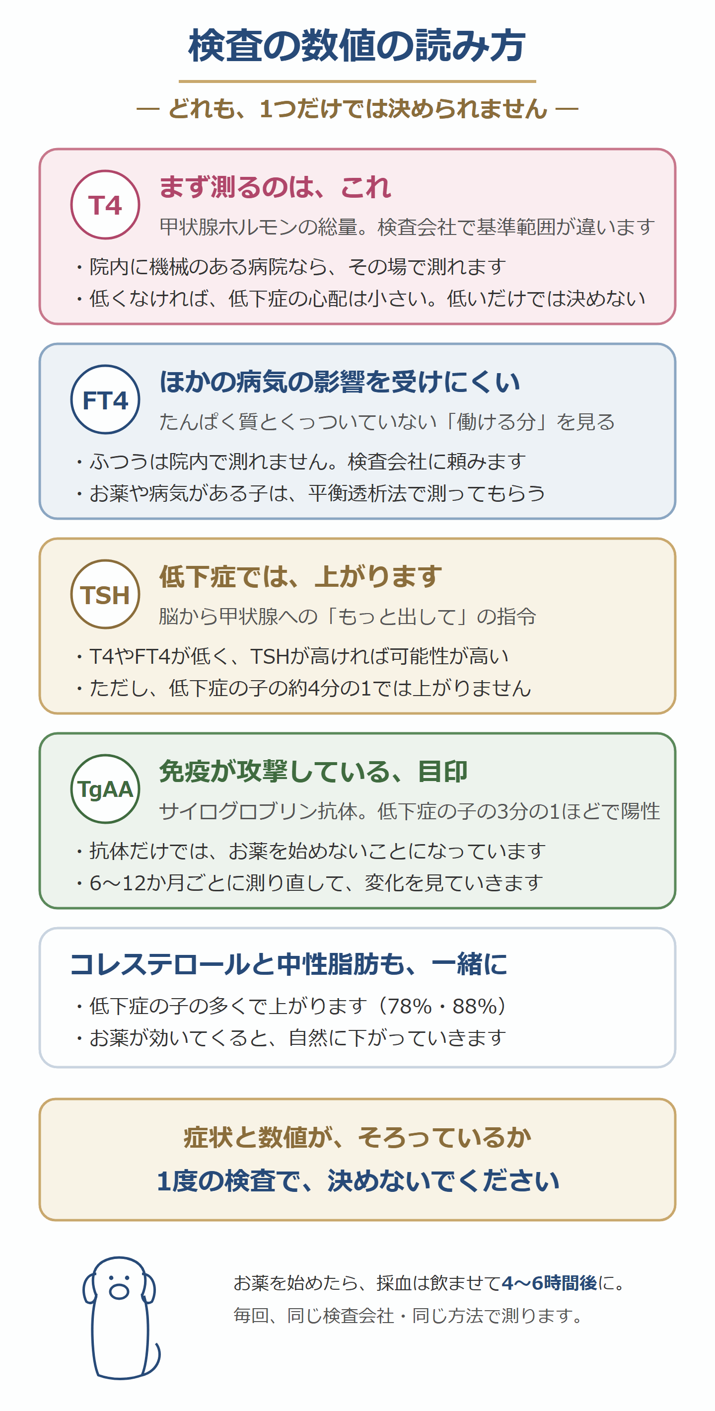 犬の甲状腺の検査の読み方。T4・FT4・TSH・TgAAとコレステロール