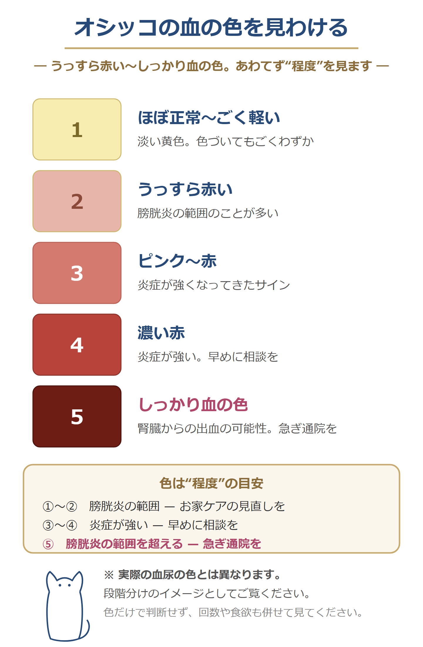 オシッコの血の色を5段階で見わける図。1ほぼ正常〜2うっすら赤い（膀胱炎の範囲）、3ピンク〜赤・4濃い赤（炎症が強い）、5しっかり血の色（腎臓からの出血の可能性・急ぎ通院）。色は程度の目安で、実際の血尿の色とは異なる。