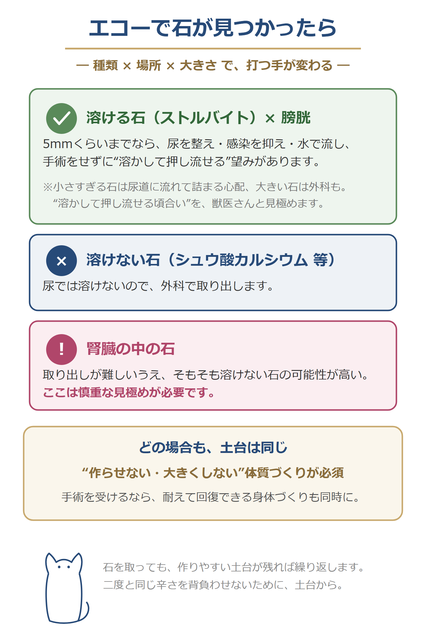エコーで石が見つかったらの対処図。溶ける石（ストルバイト）×膀胱は5mmまで溶かして押し流せる望み、溶けない石（シュウ酸カルシウム等）は外科で取り出す、腎臓の中の石は取り出しが難しく溶けない可能性が高いので慎重に。どの場合も作らせない・大きくしない体質づくりが土台。
