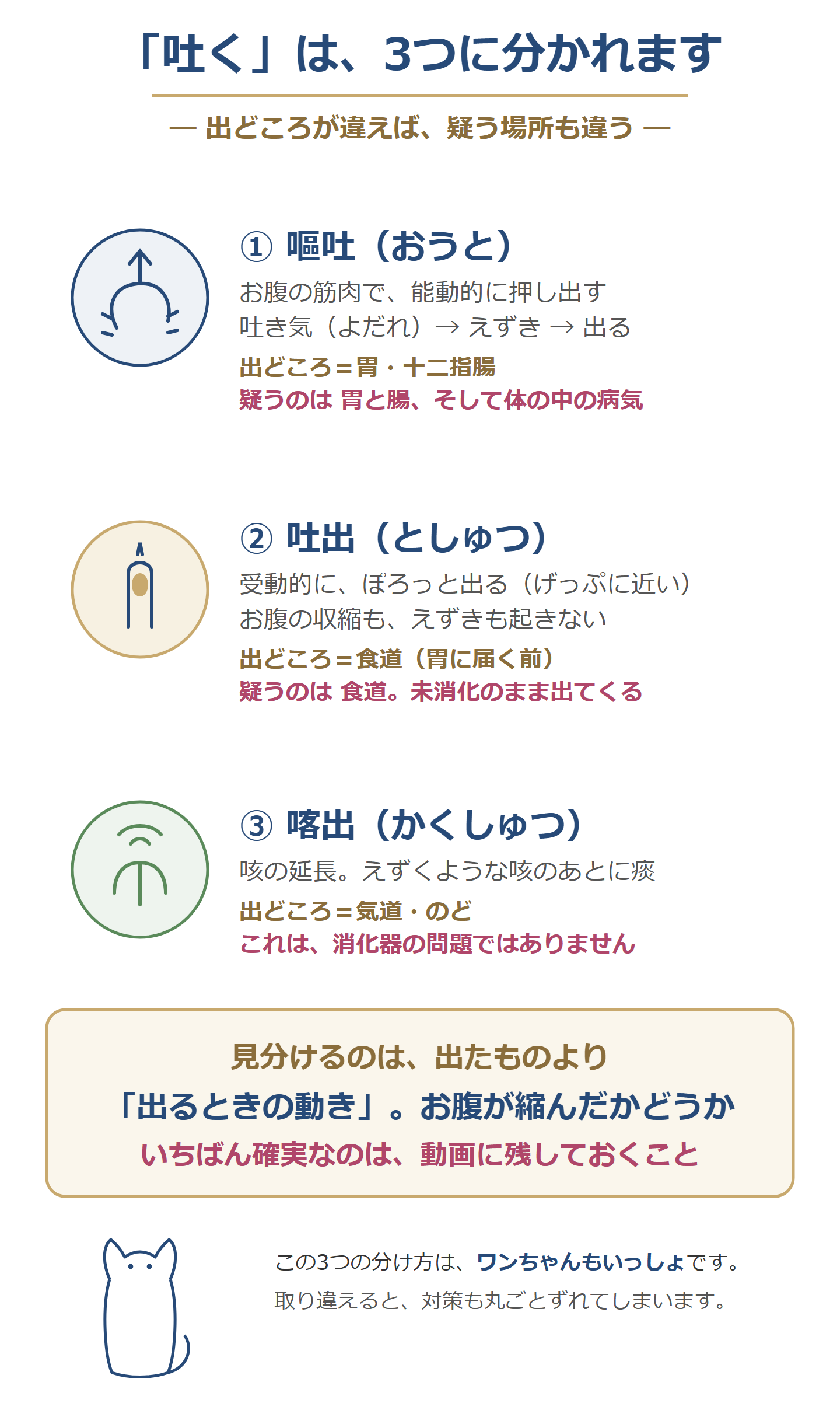 嘔吐・吐出・喀出の3つの違い。出どころは胃腸・食道・気道で、疑う場所が変わる