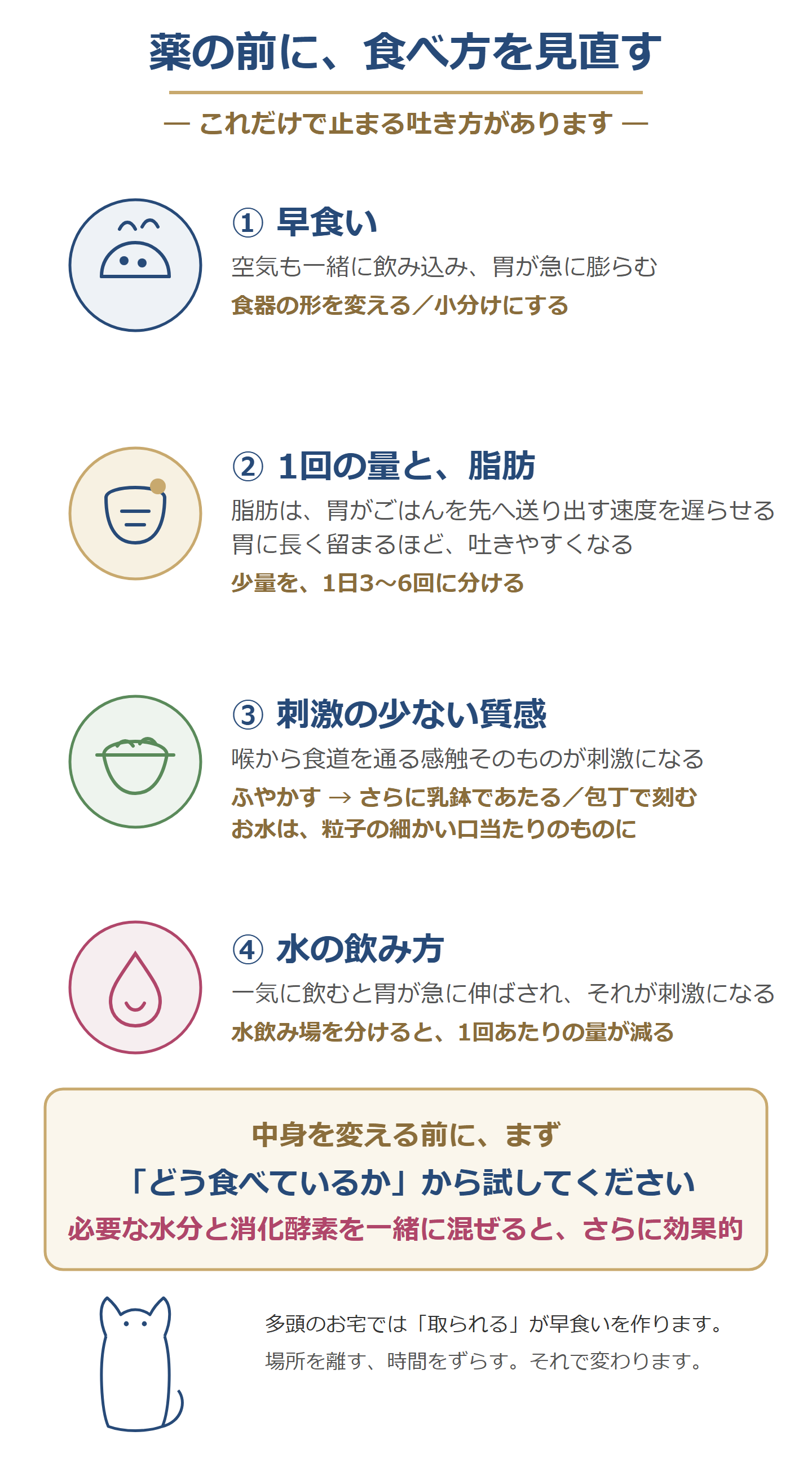 食べ方の見直し4つ。早食い、1回の量と脂肪、刺激の少ない質感、水の飲み方