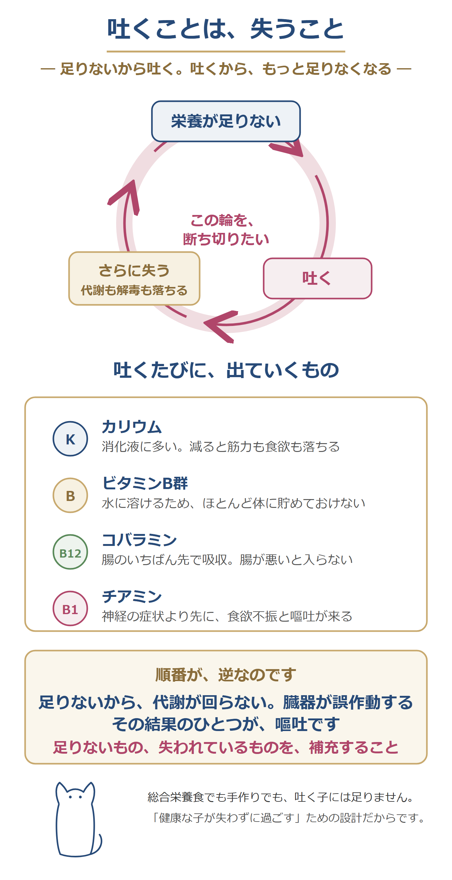 吐くと失われるもの。カリウム・B群・コバラミン・チアミンと、足りないから吐く悪循環