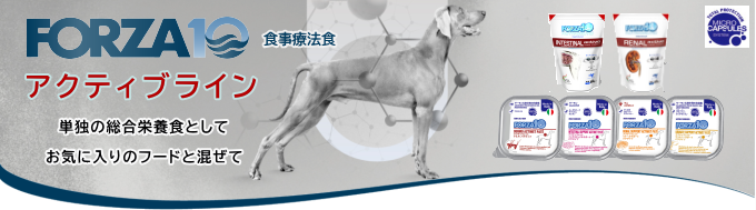 フォルツァ10/【DOG】アクティウェット/リナール ラム（腎臓）/100g