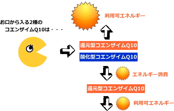 還元型コエンザイム Ｑ１０+αリノレン酸/60粒｜猫用サプリメント｜犬用サプリメント｜フェレット用サプリメント｜ニンナナンナ｜プレミアムフード専門店｜ナチュラルフード専門店｜