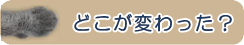 ナチュラルバランス　どこが変わった？