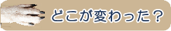 ナチュラルバランス　どこが変わった？