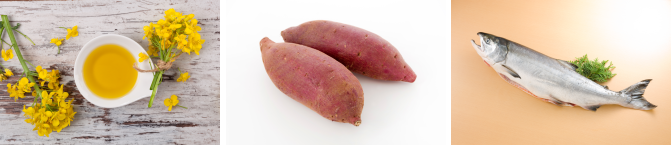 ナチュラルバランス/リワードクランチービスケット/ポテト＆サーモン（小粒）素材