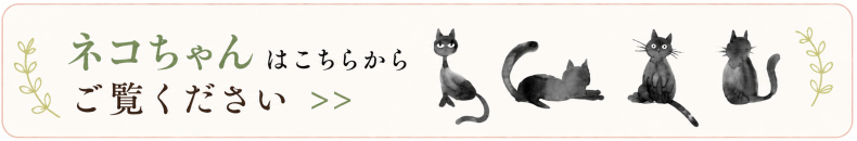 ネコちゃん用手作りごはん補助サプリメント