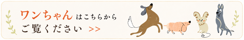 ワンちゃん用手作りごはん補助サプリメント
