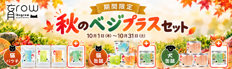 野菜の歓び　秋のベジプラスセット